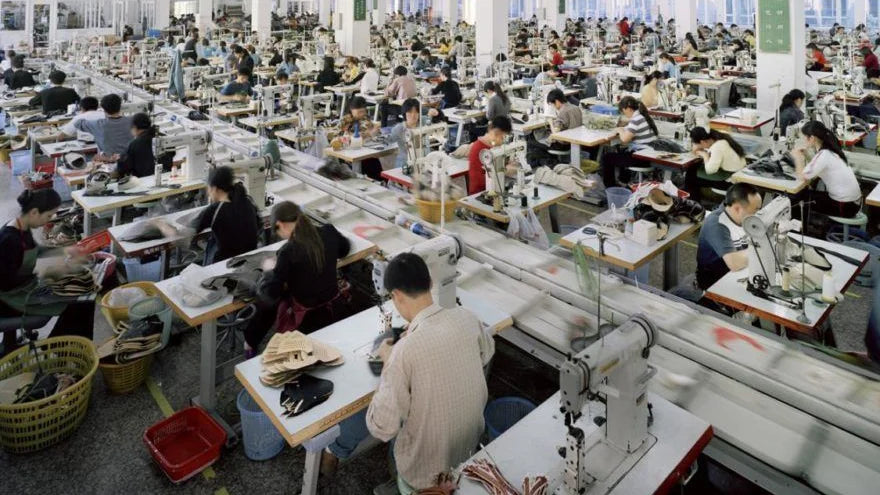 المنافسة ليست بالسعر فقط: كيف يتفوق Modisly على السوق؟